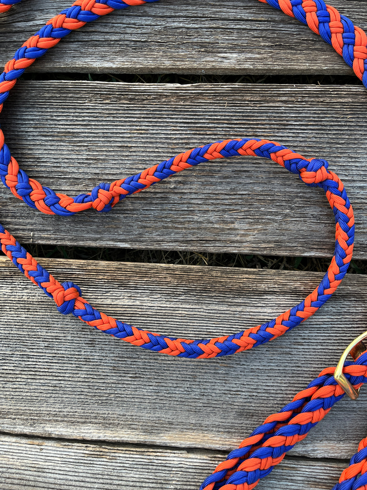 Orange & Blue Barrel Reins