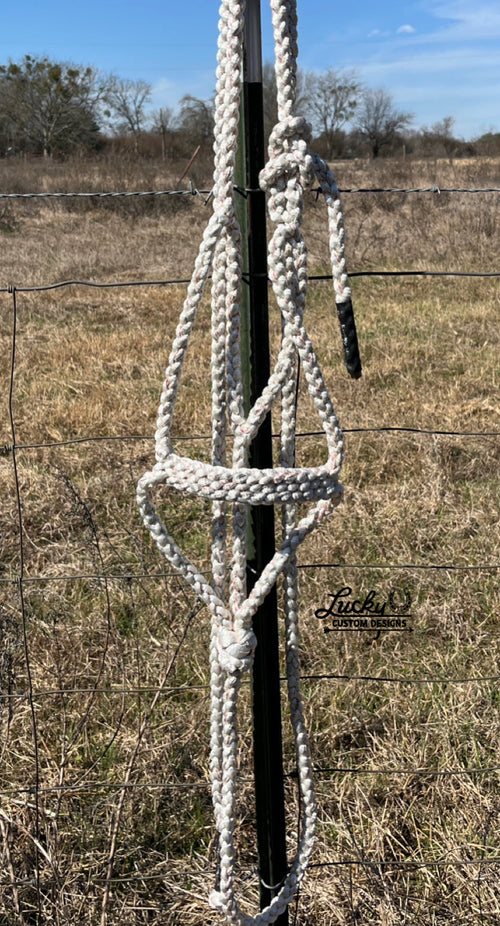 Mule Tape halter hanging on a fence post with a rural landscape in the background

