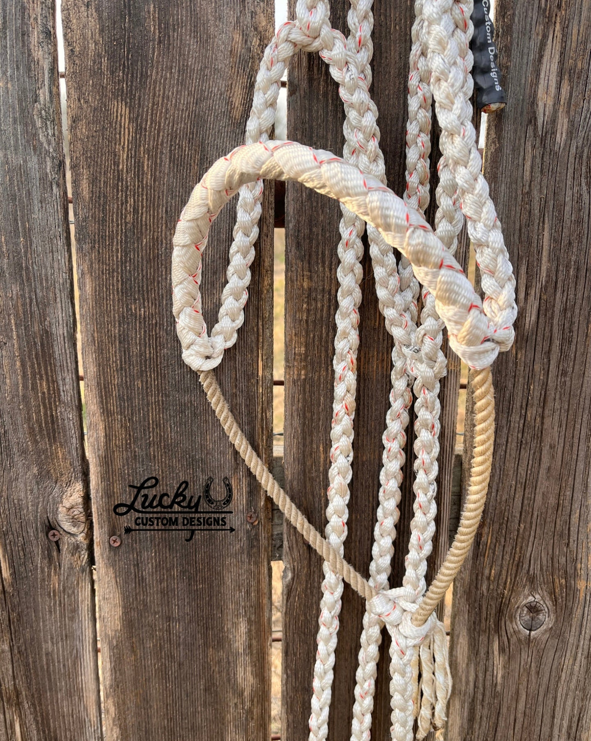 Lariat nose band halter (5/8” mule tape)