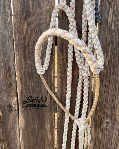 Lariat nose band halter (5/8” mule tape)