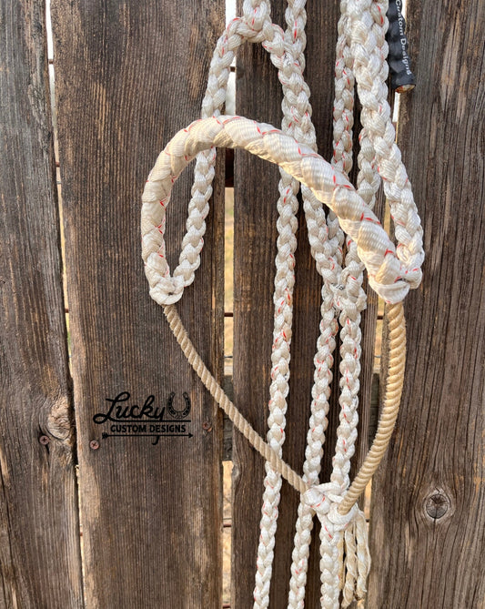 Lariat nose band halter (5/8” mule tape)