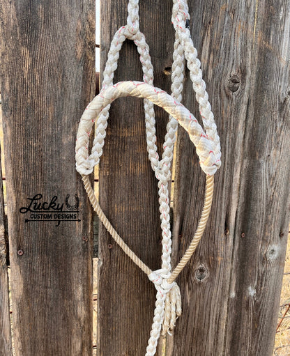 Lariat nose band halter (5/8” mule tape)