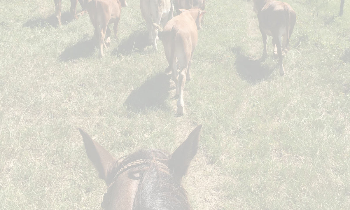 Lucky U Custom Designs is hand-braided cowboy gear made right in here in Texas. The designs and techniques are all original and have been tested to make sure they are durable and last. 